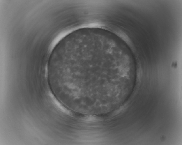 X0000113081420200909182038