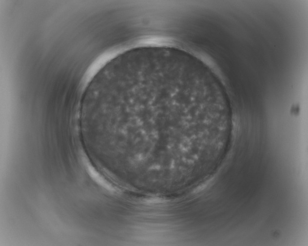 X0000113081421200909182038