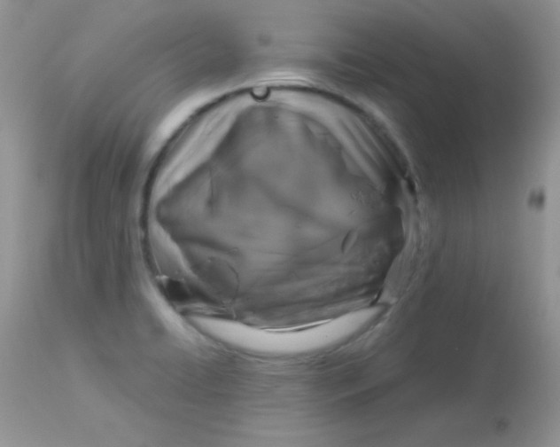 X0000113081422200909182038