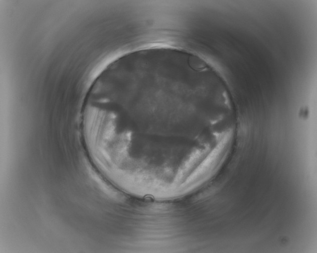 X0000113081423200909182038