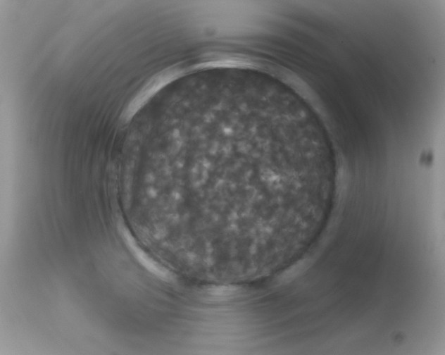 X0000113081425200909182038