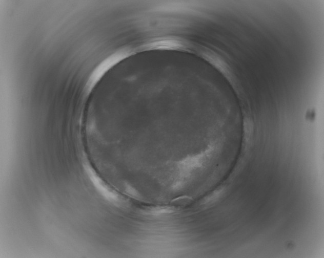 X0000113081426200909182038