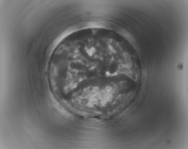 X0000113081427200909182038