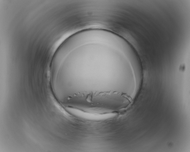 X0000113081428200909182038