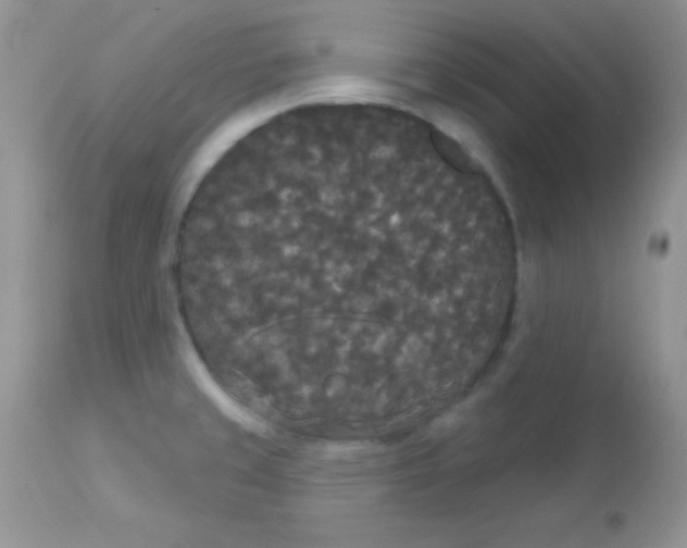 X0000113081429200909182038