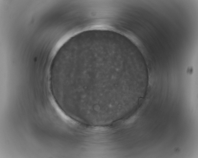 X0000113081430200909182038