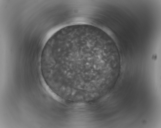 X0000113081431200909182038