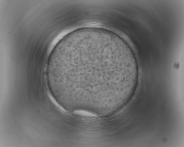 X0000113081432200909182038