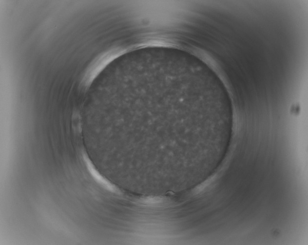 X0000113081433200909182038