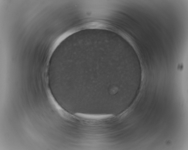 X0000113081434200909182038