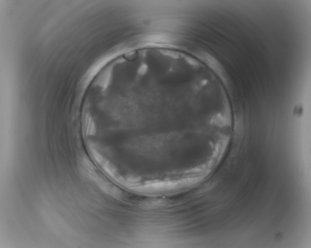 X0000113081435200909182038