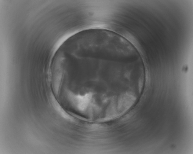 X0000113081436200909182038