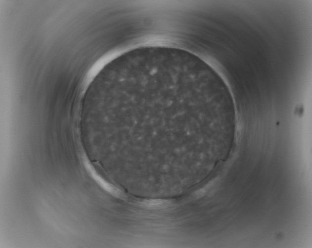 X0000113081437200909182038