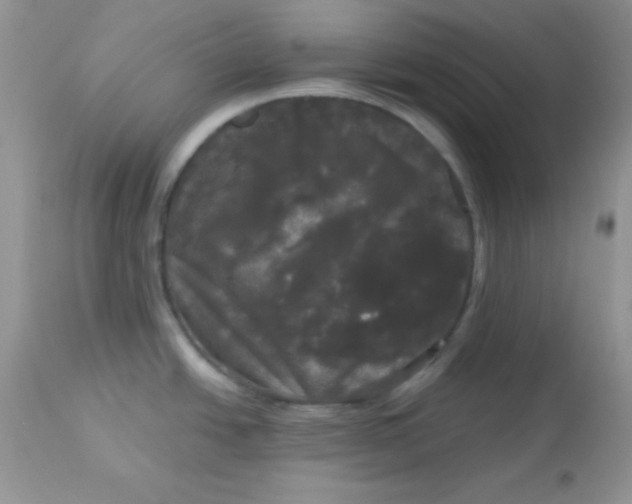 X0000113081438200909182038