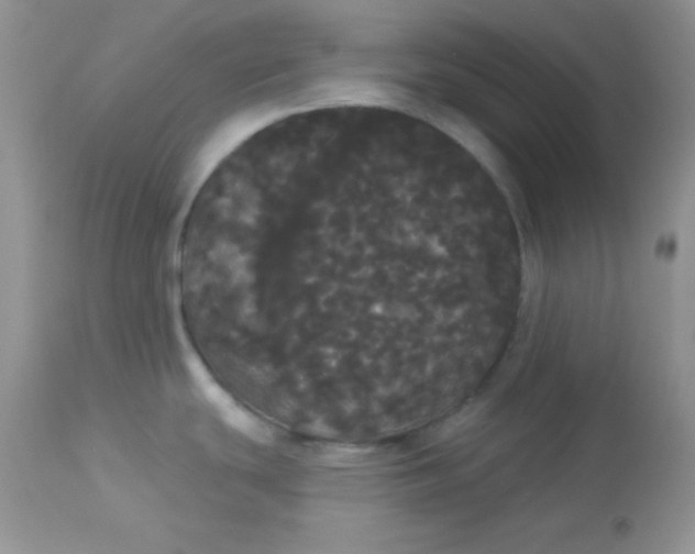 X0000113081439200909182038