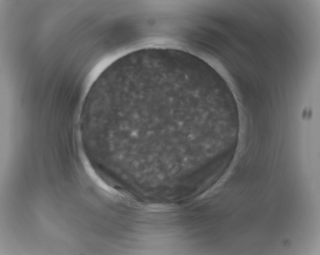 X0000113081440200909182039