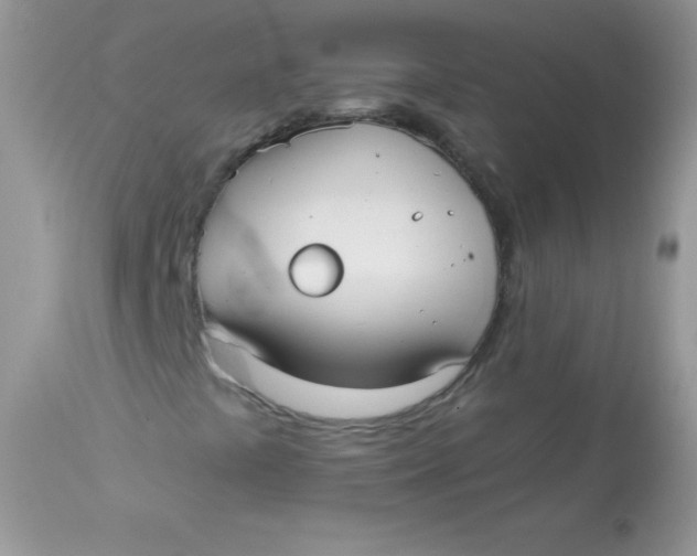 X0000113081441200909182038