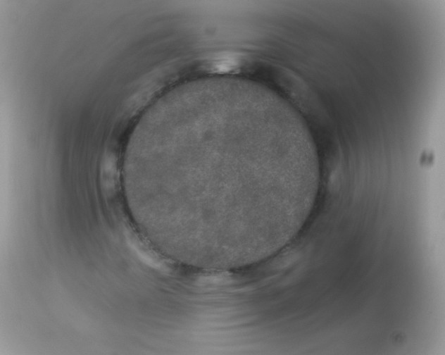 X0000113081442200909182038