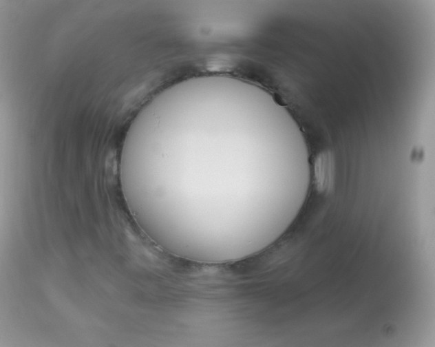 X0000113081443200909182038