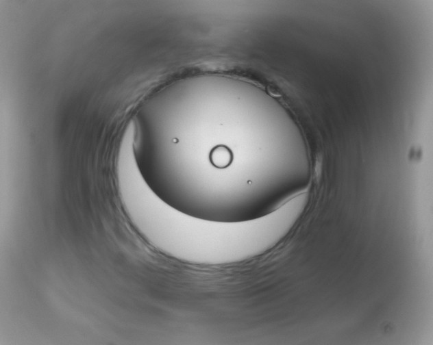 X0000113081444200909182038