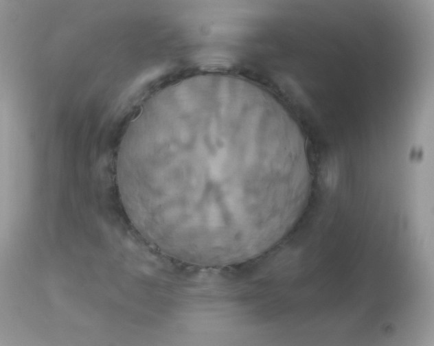 X0000113081445200909182038