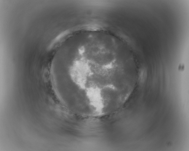 X0000113081446200909182038