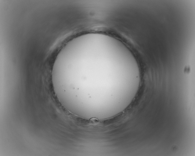 X0000113081447200909182038