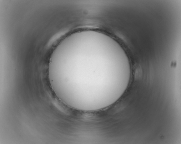 X0000113081448200909182038