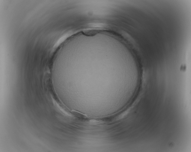 X0000113081449200909182038