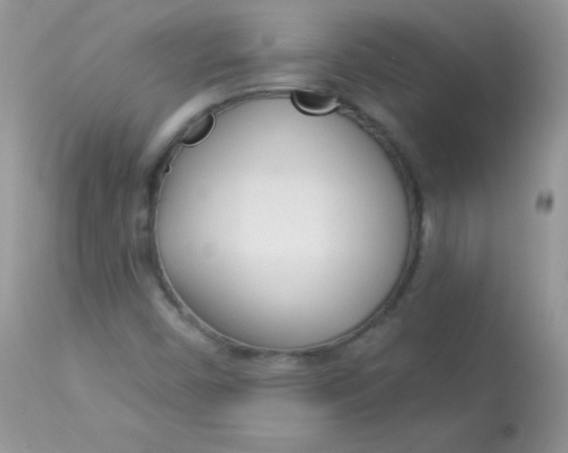 X0000113081450200909182038