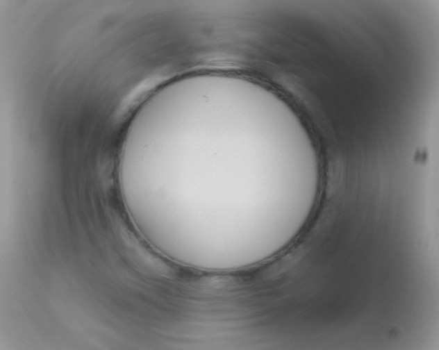 X0000113081451200909182038