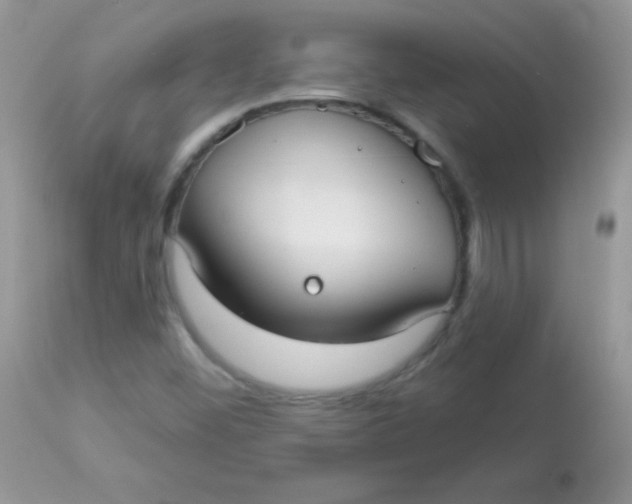 X0000113081452200909182038