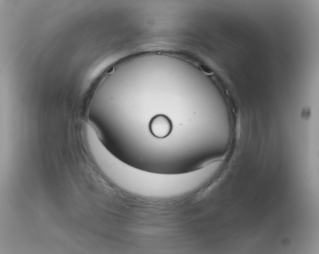 X0000113081453200909182038