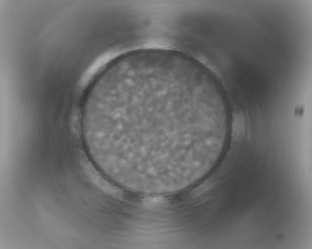 X0000113081454200909182038