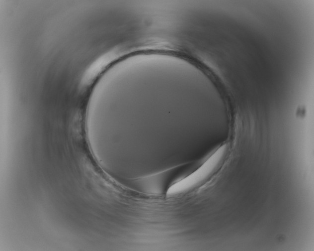 X0000113081455200909182037