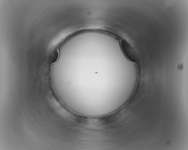 X0000113081456200909182037