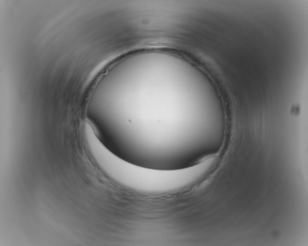 X0000113081457200909182037