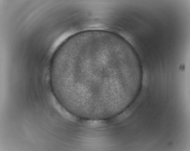 X0000113081458200909182037