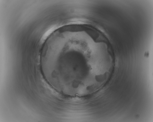 X0000113081459200909182037