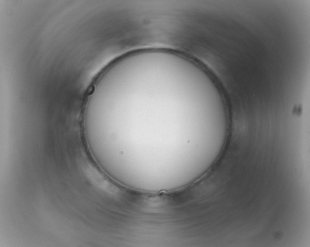 X0000113081460200909182037