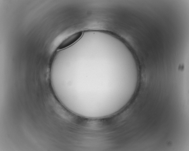 X0000113081461200909182037