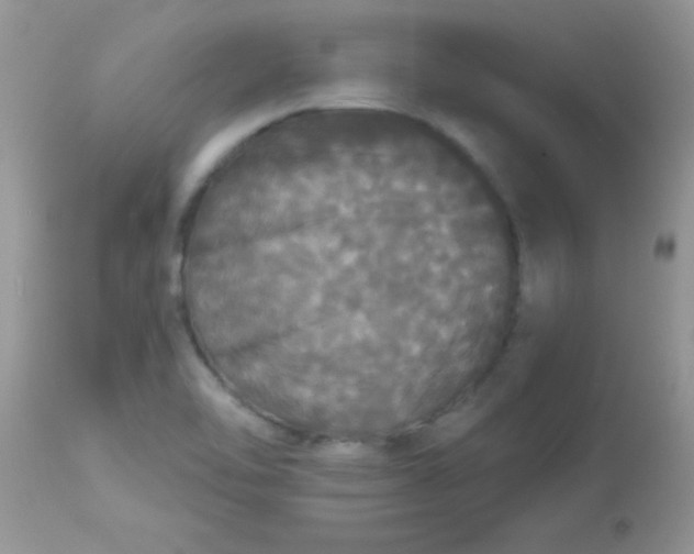 X0000113081462200909182037