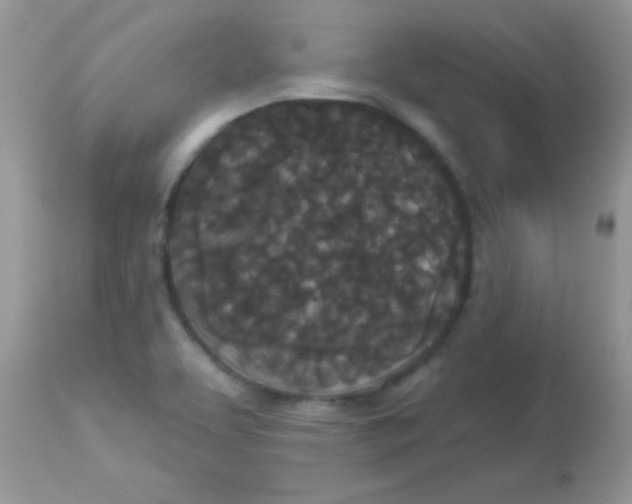 X0000113081463200909182037