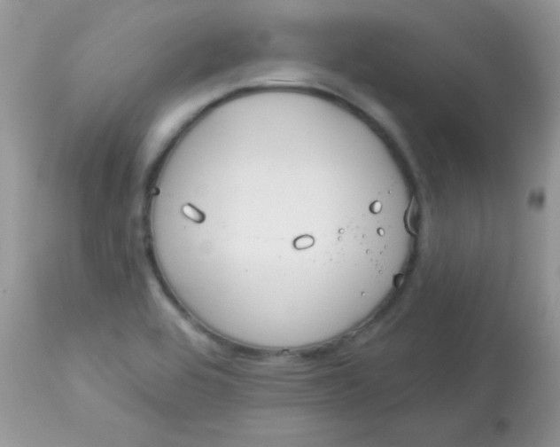 X0000113081464200909182037