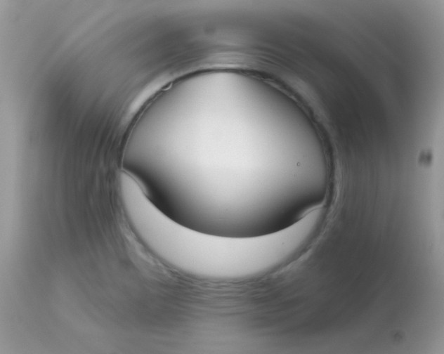 X0000113081465200909182037