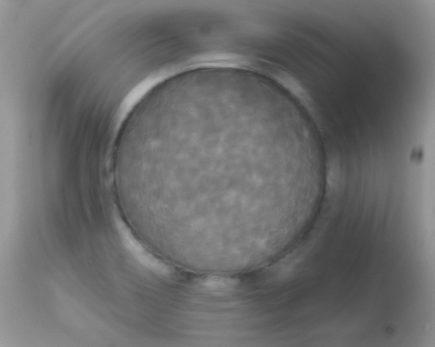 X0000113081466200909182037