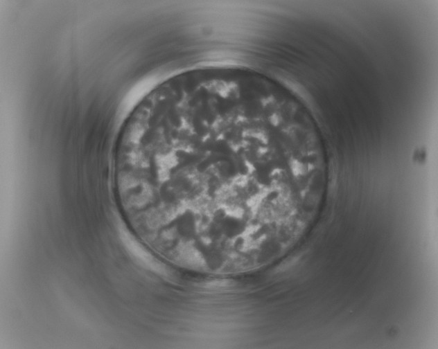 X0000113081467200909182037