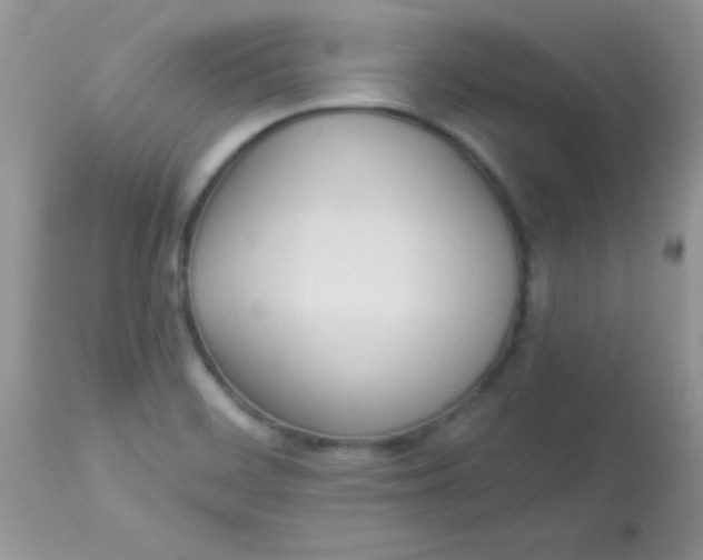 X0000113081468200909182037