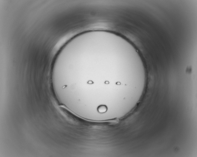 X0000113081469200909182037