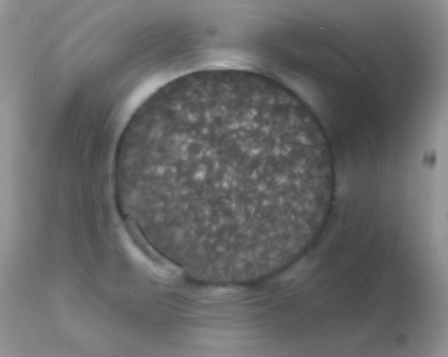 X0000113081471200909182037